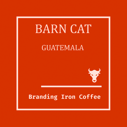 Barn Cat Roast